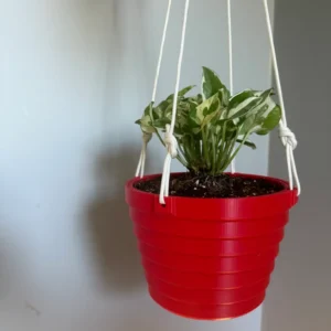 Hanging Planter - The Gio